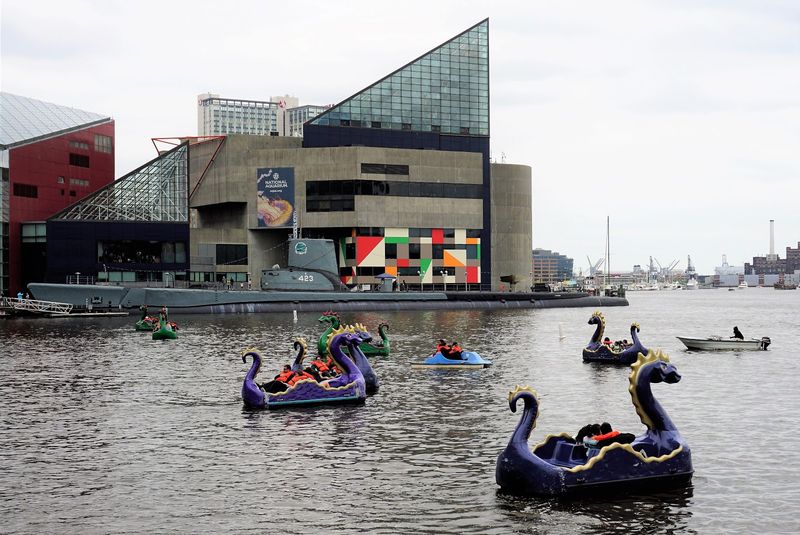 Harbor Adventures In Baltimore