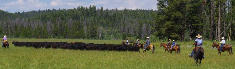 Idaho