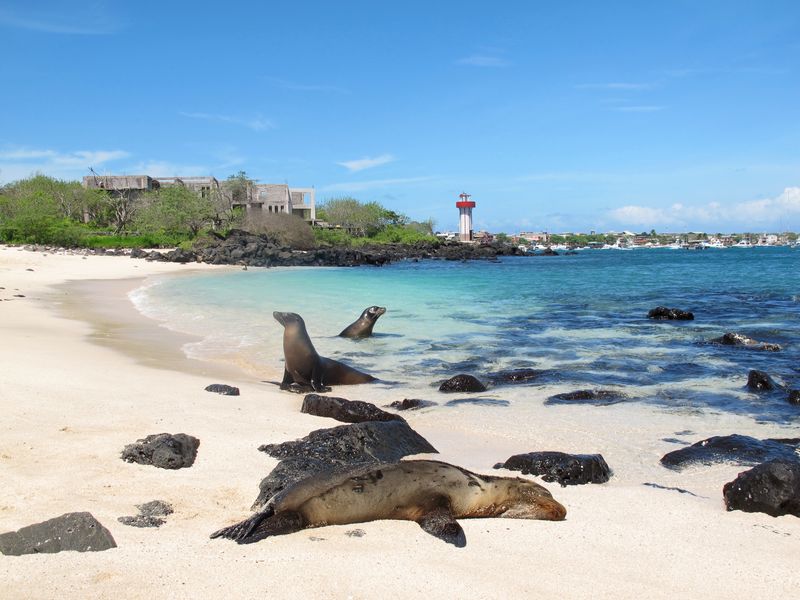 Galapagos Islands: Darwin's Living Laboratory