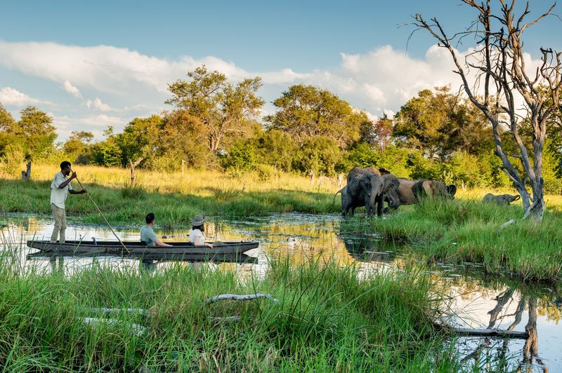 Okavango Delta: Africa's Emerald Oasis