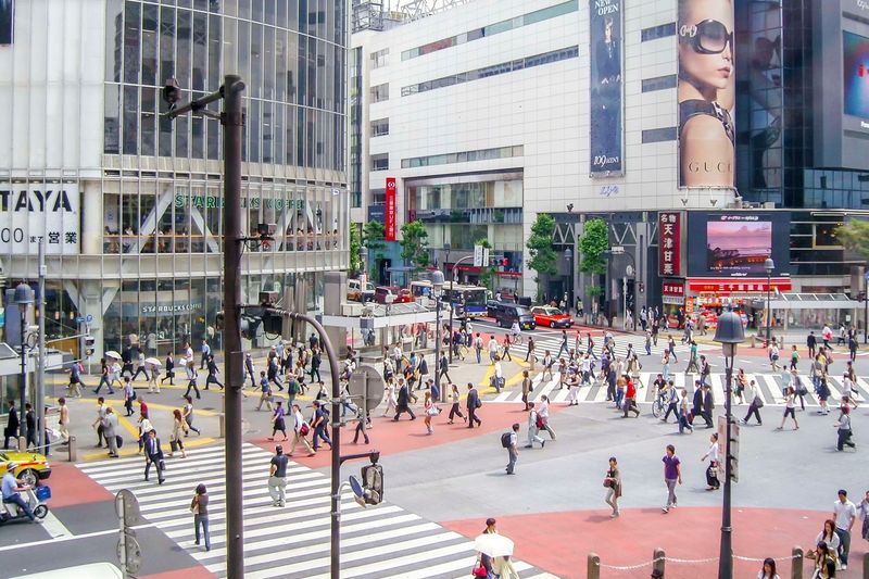 Tokyo's Walkable Wonderland