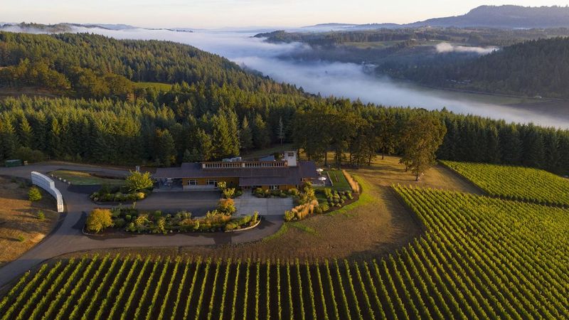 Willamette Valley Treehouse: Oregon's Best-Kept Secret