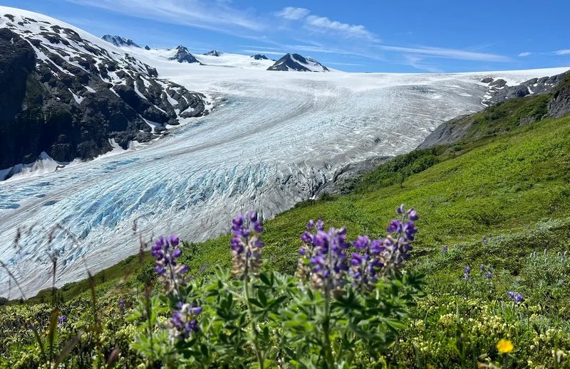 Hike The Harding Icefield Trail