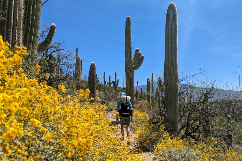 Overlooking Trail Maps Or Local Regulations