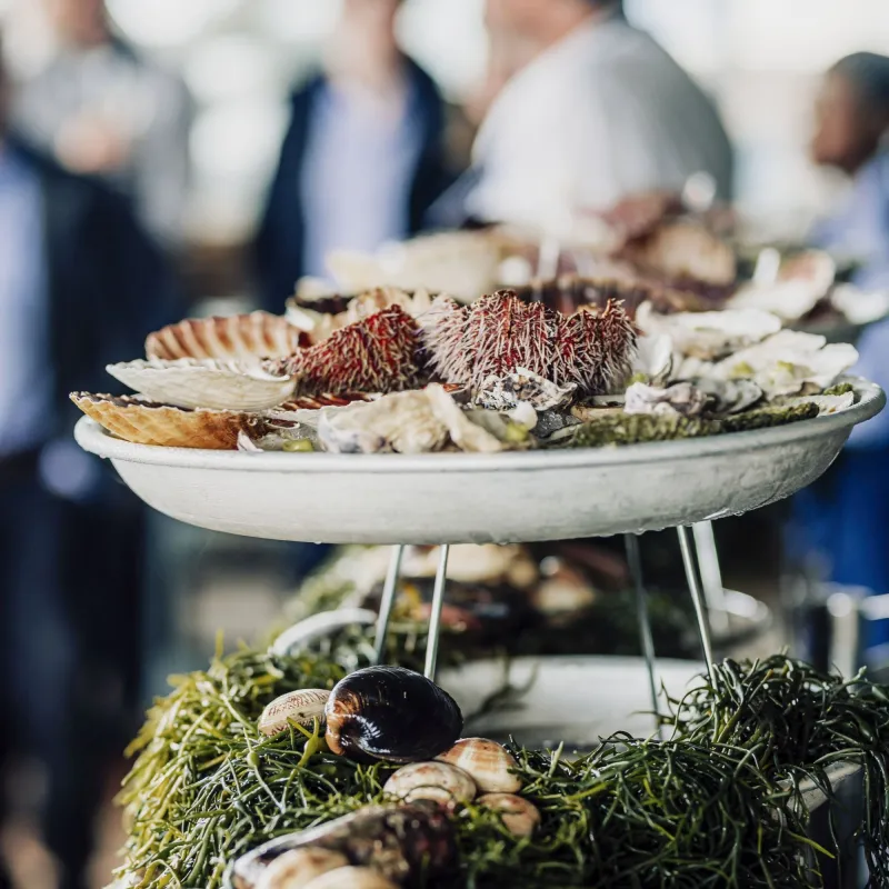 Exotic Shellfish Platter