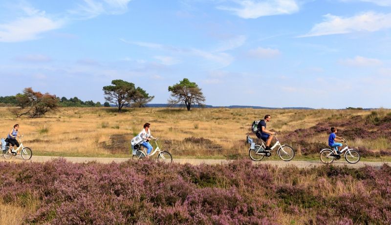 De Hoge Veluwe National Park: Wilderness and Art