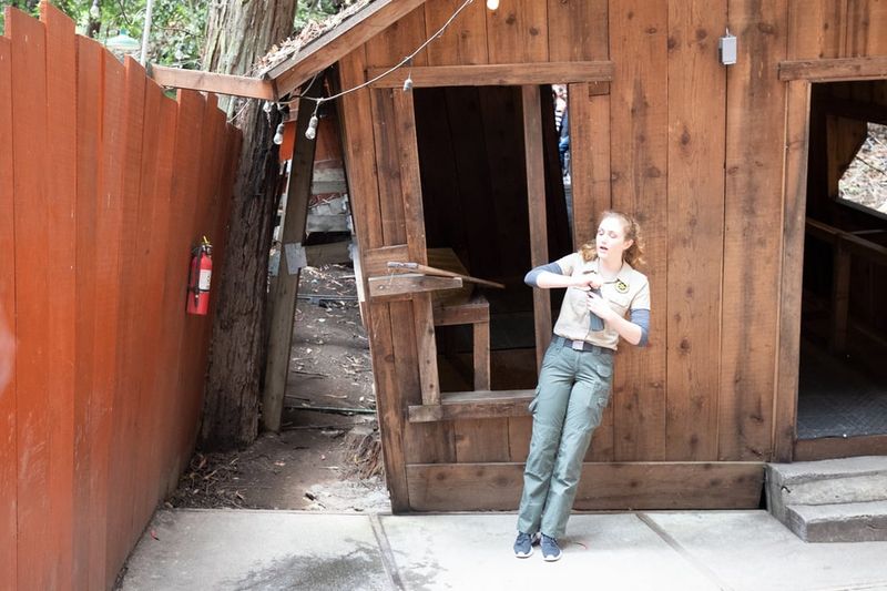 The Mystery Spot (California)