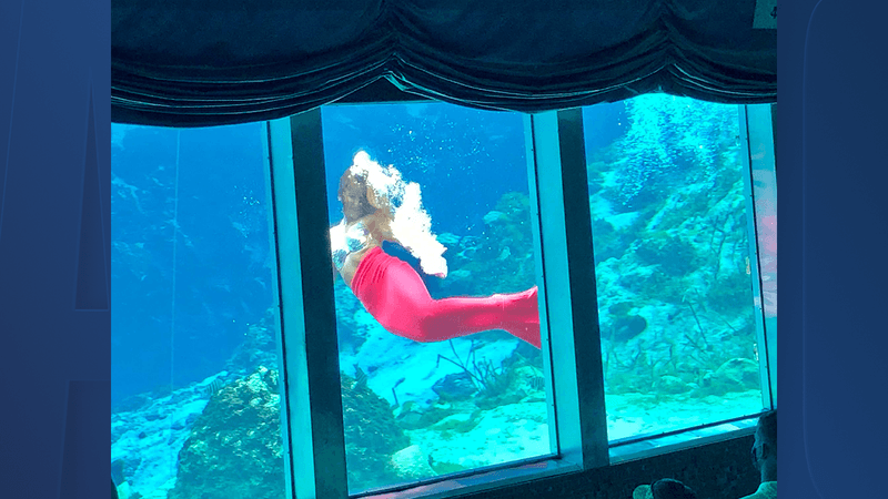 Weeki Wachee Mermaid Show