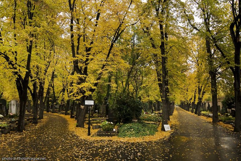 Olšany Cemetery (Olšanské hřbitovy)
