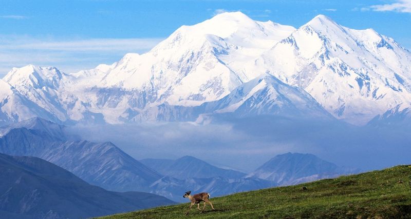 Alaska – Denali National Park
