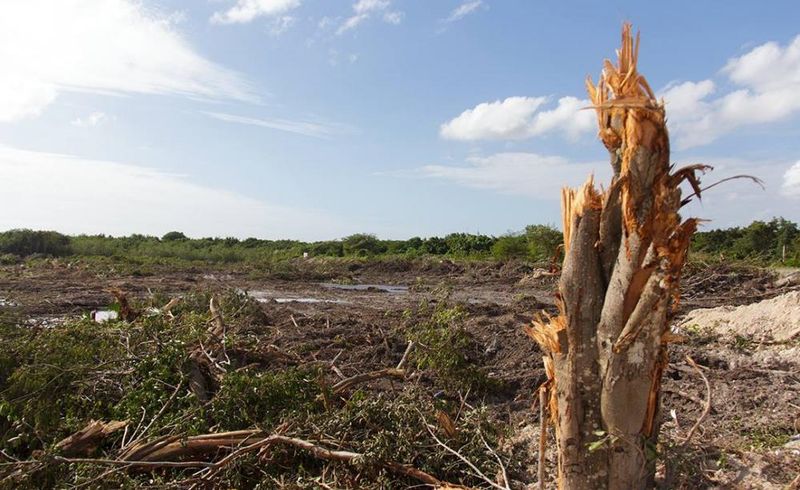 Overdevelopment Of Natural Areas