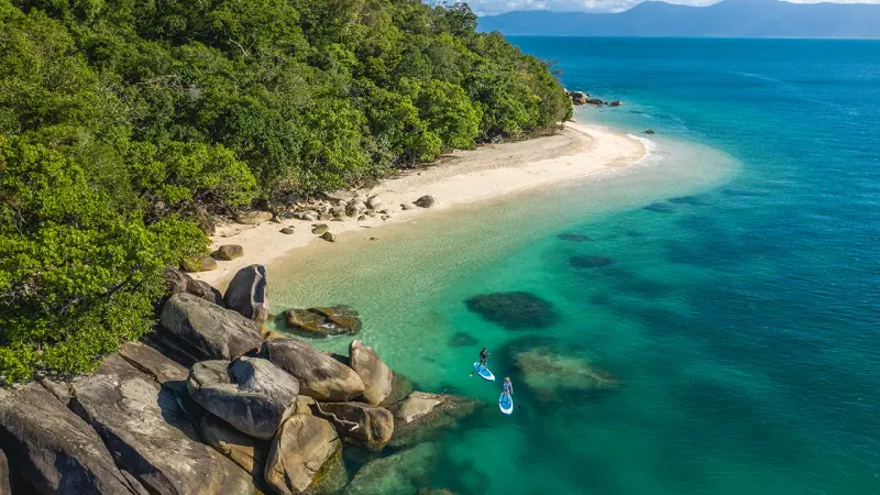 The Role Of Nature: Beaches, Reefs, And Rainforests