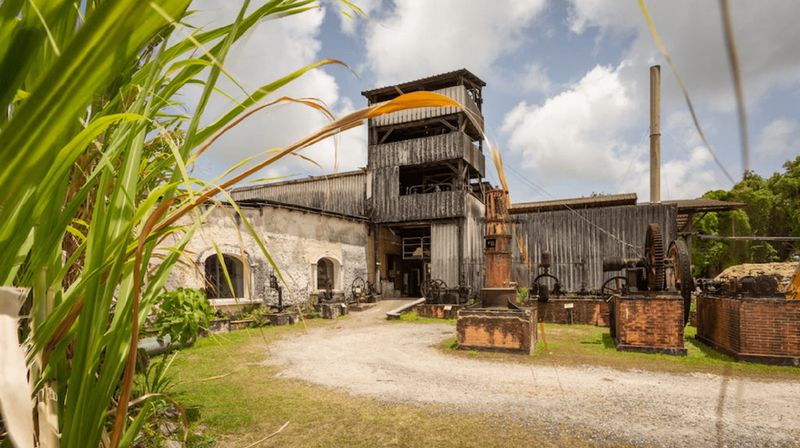 Planning Your Visit: When To Go And What To Know