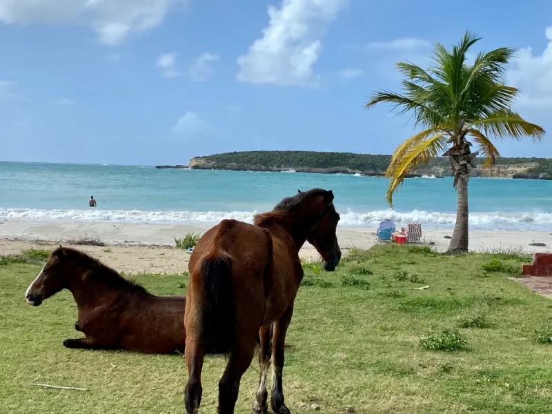 Hidden Beaches That Deserve A Spot On Your List