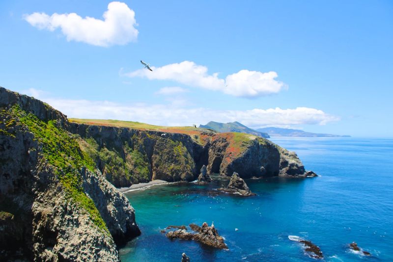 Channel Islands National Park, California