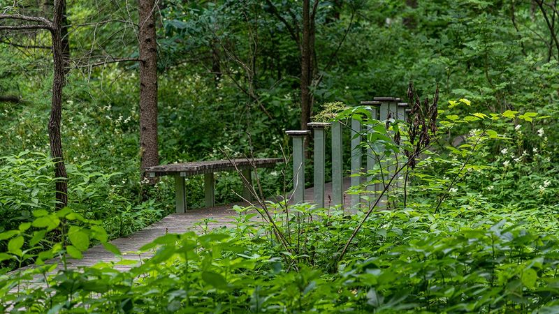 A Brief History Of The Eloise Butler Wildflower Garden