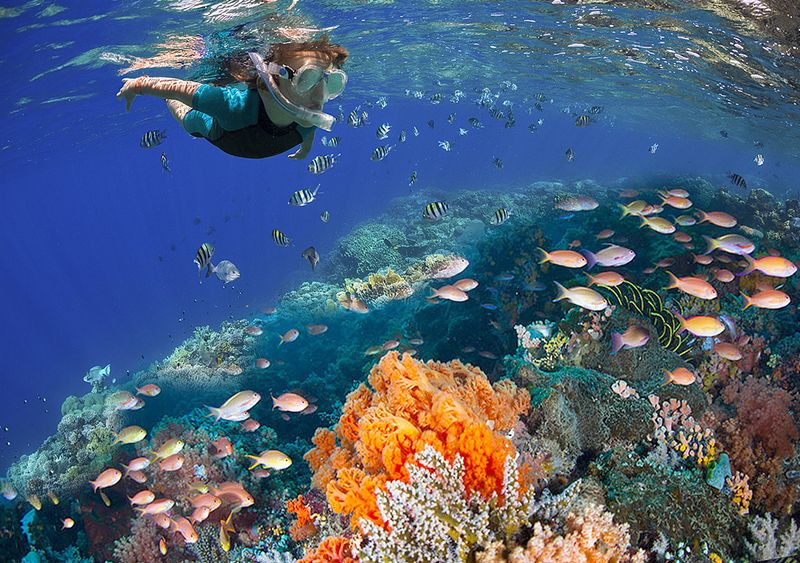 Cozumel Underwater Adventure Paradise