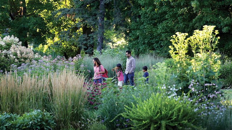 Guided Walks And Educational Programs
