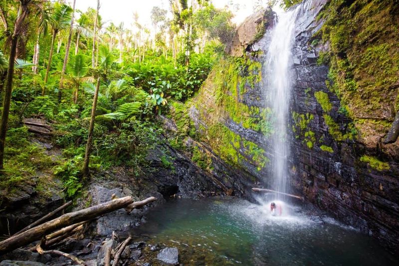 El Yunque National Forest, Puerto Rico