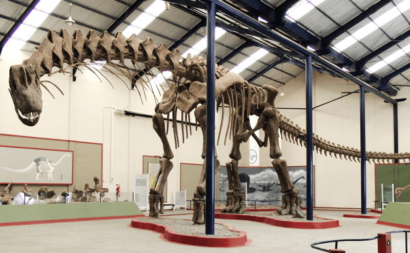 Museo Argentino de Ciencias Naturales (Buenos Aires, Argentina)