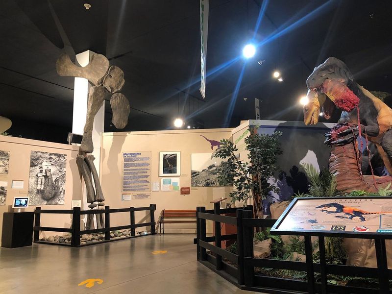 Dinosaur Journey Museum – Fruita, Colorado
