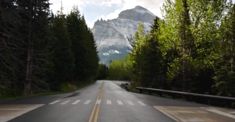 10 Road Trip Ideas That Are Way Cheaper Than Flying